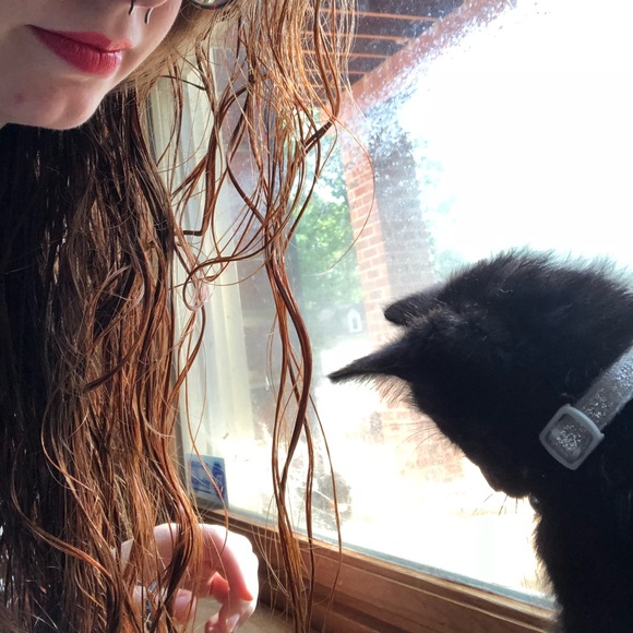 Meet your Posher, Lane - Picture 1 of 1